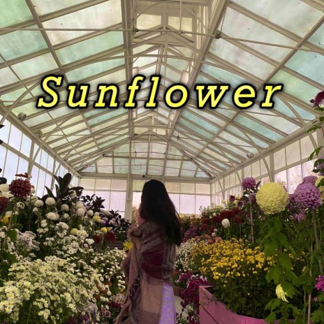 Sunflower - sped up