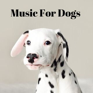 Music For Dogs