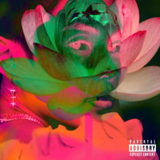 Lotus Flower lyrics | Boomplay Music