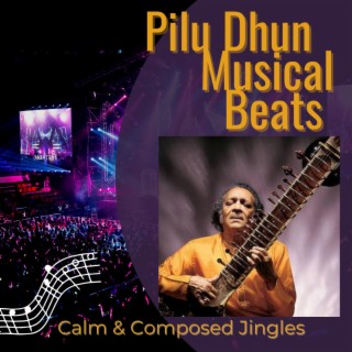 Pilu Dhun Musical Beats