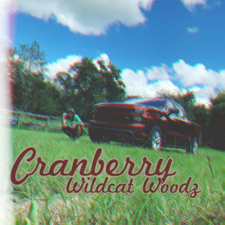 Cranberry | Boomplay Music