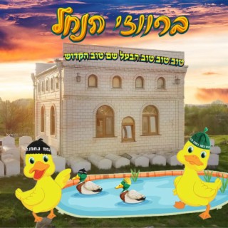 ברווזי הנחל