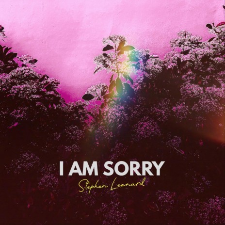 I Am Sorry | Boomplay Music