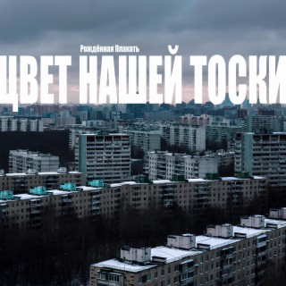 Цвет нашей тоски