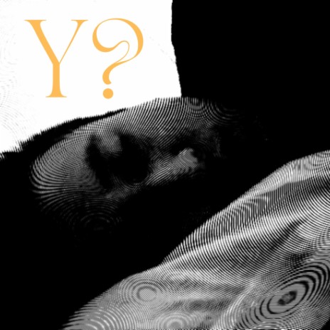 Y? | Boomplay Music