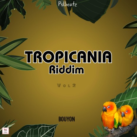 TROPICANIA RIDDIM BOUYON vol2 | Boomplay Music