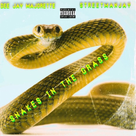 Snakes in the Grass ft. Streetmanjay | Boomplay Music