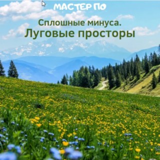 Сплошные минуса. Луговые просторы