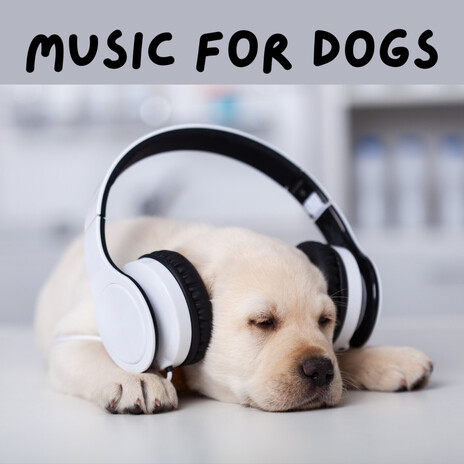 Calming Whispers for Dogs ft. Music For Dogs Peace, Relaxing Puppy Music & Calm Pets Music Academy | Boomplay Music