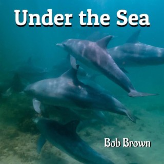 Under the Sea lyrics | Boomplay Music