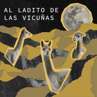 Al Ladito De Las Vicuñas lyrics | Boomplay Music