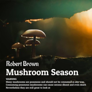 It's Mushroom Season