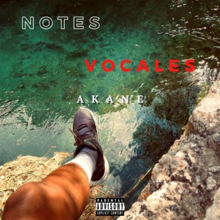 NOTES VOCALES ft. Beks lyrics | Boomplay Music