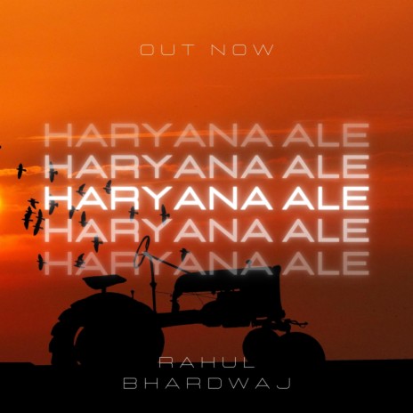 HARYANA ALE | Boomplay Music