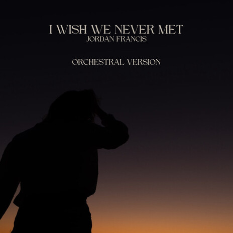 I Wish We Never Met | Boomplay Music