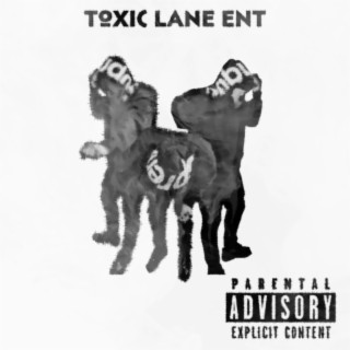 Who Is Toxic Lane ?