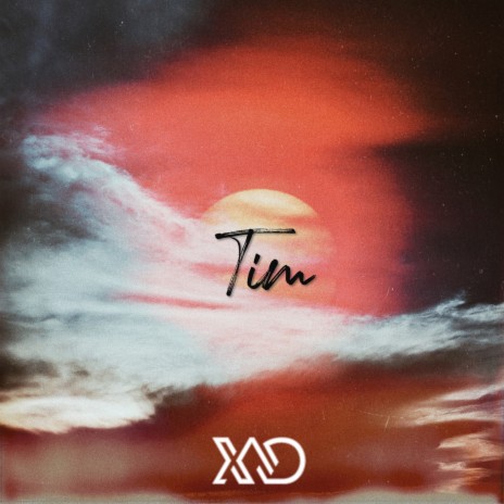 Tim | Boomplay Music