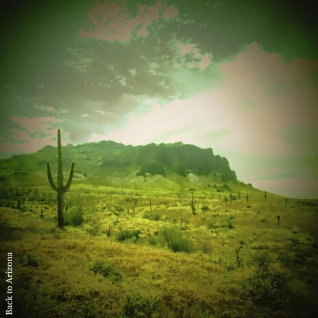 Back to Arizona | Boomplay Music