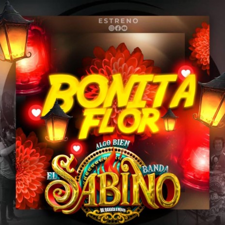 Bonita flor | Boomplay Music