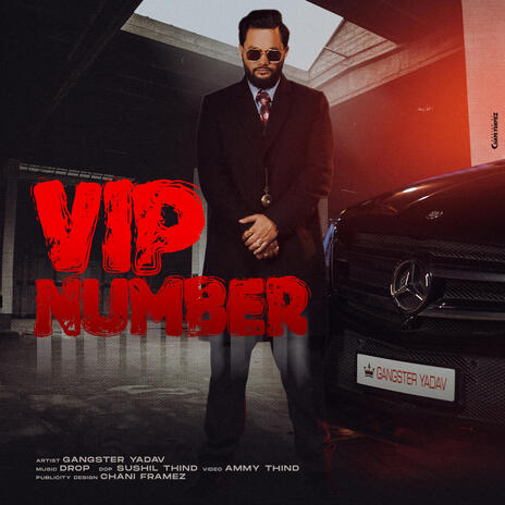 VIP NUMBER | Boomplay Music