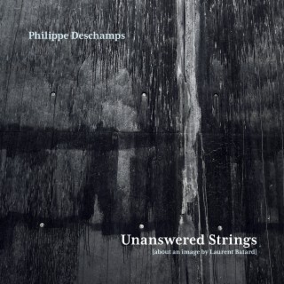 Unanswered Strings (About an Image by Laurent Batard)