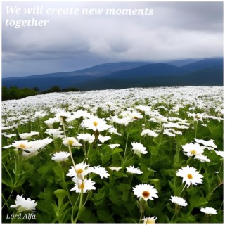 We Will Create New Moments Together