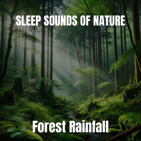 rain nature sleep sounds