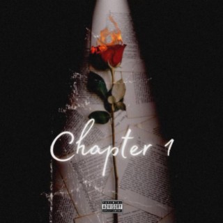 Chapter 1