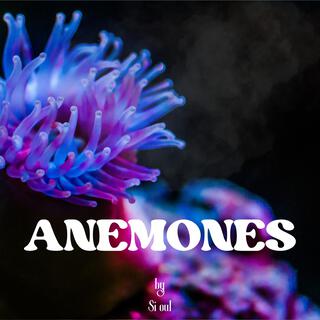 ANEMONES