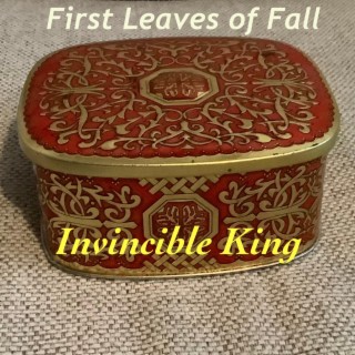 Invincible King lyrics | Boomplay Music