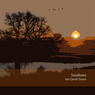 Swallows lyrics | Boomplay Music