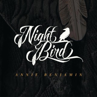 Night Bird lyrics | Boomplay Music