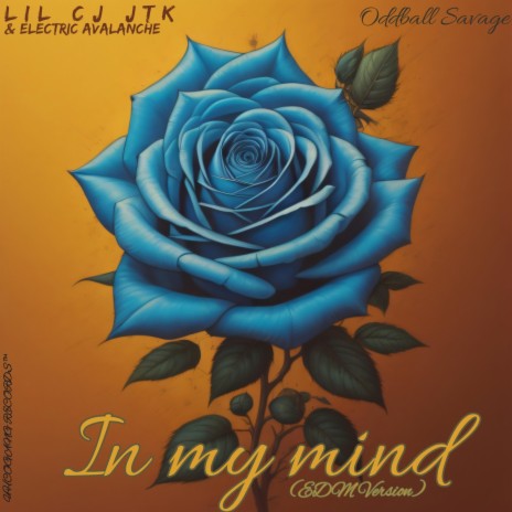 In my mind (Oddball Savage EDM Remix) ft. Electric Avalanche & Oddball Savage