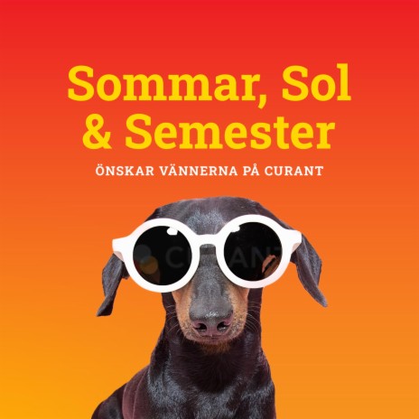 Sommar, Sol & Semester | Boomplay Music