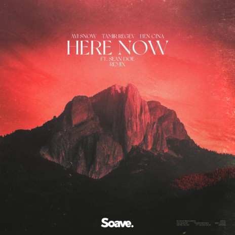 Here Now (ft. Sean Doe) - Remix ft. Tamir Regev & Ben Cina