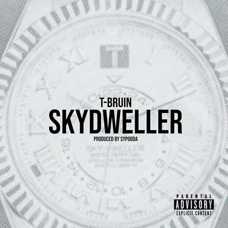 SKYDWELLER | Boomplay Music