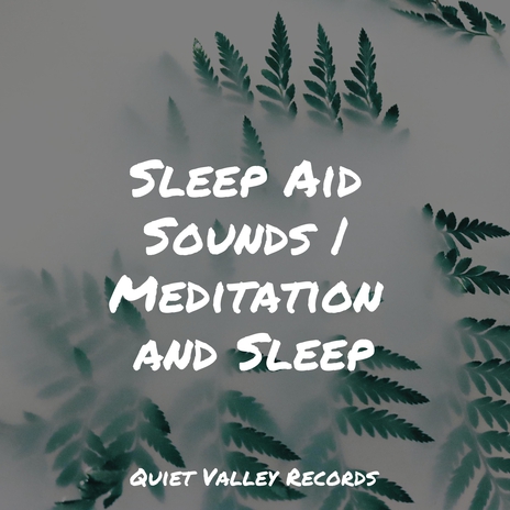 Sleeping Music ft. Massage Therapy Music & Yoga Soul | Boomplay Music