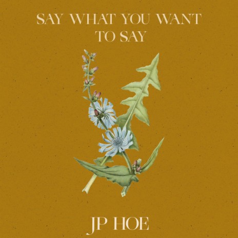Say What You Want To Say | Boomplay Music