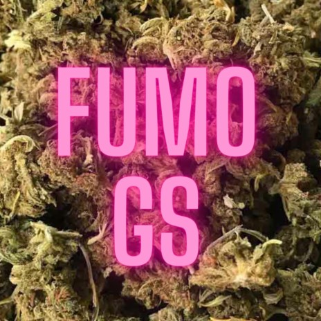 FUMO GS