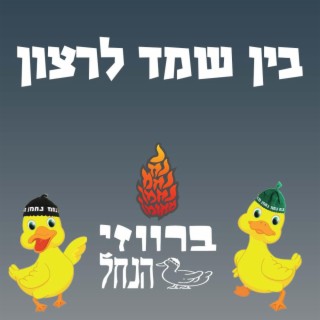 בין שמד לרצון