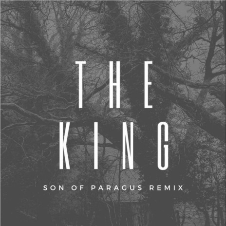The King (Son of Paragus Remix) ft. Son of Paragus | Boomplay Music