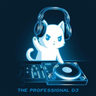 THE PROFESSIONAL DJ