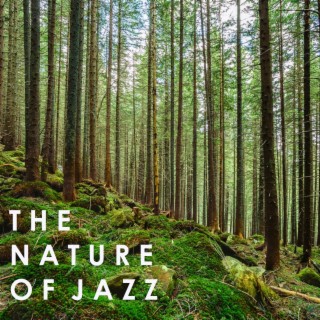 The Nature of Jazz