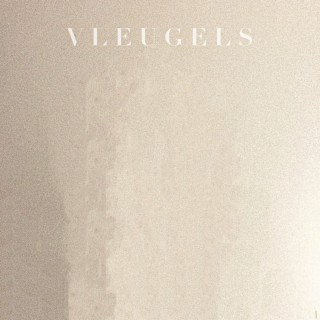 Vleugels lyrics | Boomplay Music