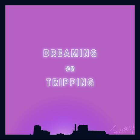 dreaming or tripping