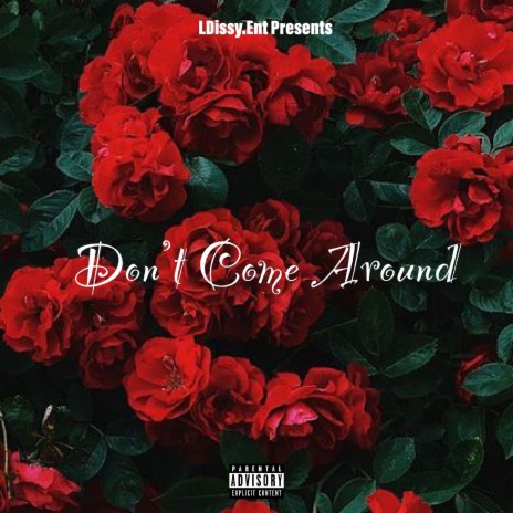 Don't Come Around | Boomplay Music