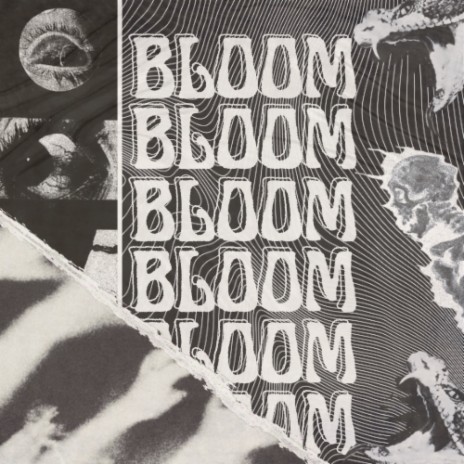 BLOOM ft. 014F | Boomplay Music