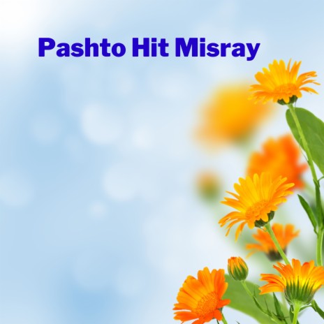 Pashto Hit Misray ft. Mohsin Khattak | Boomplay Music