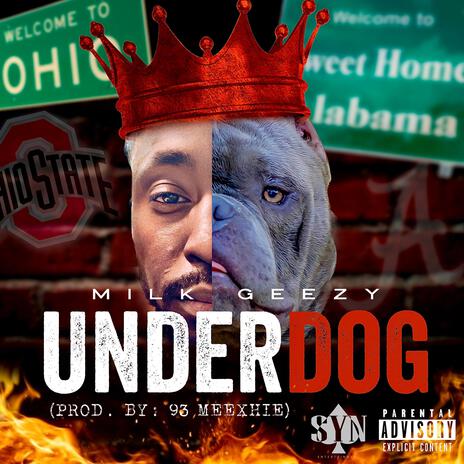 UNDERDOG | Boomplay Music