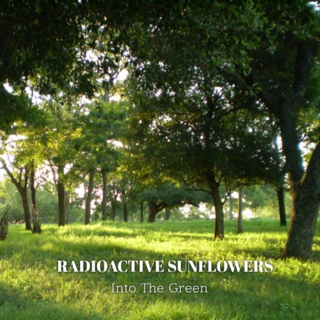 Into The Green | Boomplay Music